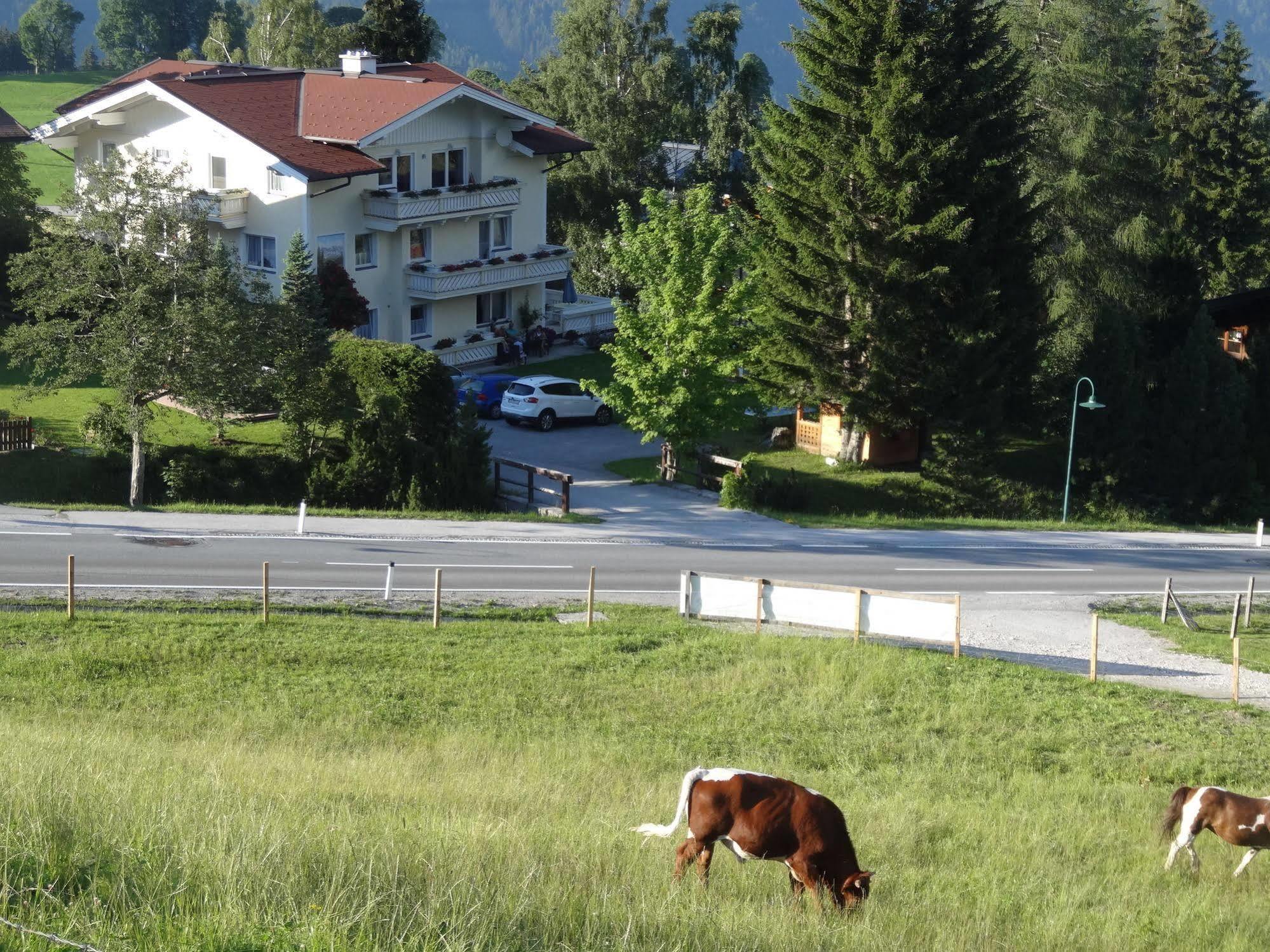 Haus Alpina Ski In & Ski Out Schladming Exterior foto